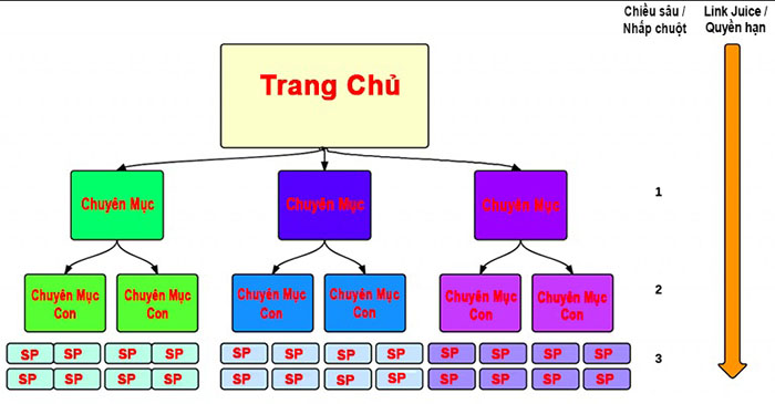 Cấu trúc trang web