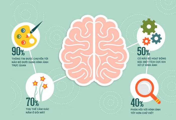 Content hình ảnh, infographic được xem, chia sẻ và yêu thích nhiều hơn so với các dạng Content thông thường10